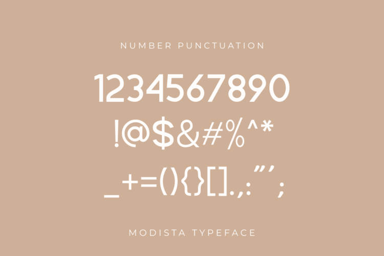 Modista - Image 8